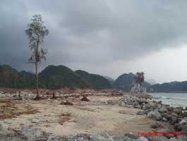 lampuuk_after_tsunami.jpg